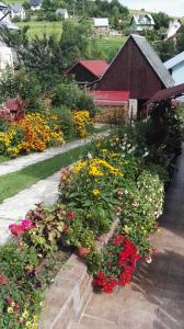 a garden of flowers in front of a building at Na Wspólnej in Szlachtowa +5 photos