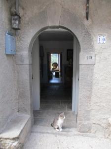
Pet or pets staying with guests at Viandanti, Artisti e Sognatori
