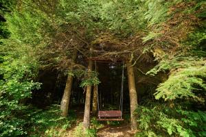 Vonkajšia záhrada v ubytovaní Forest House exclusive