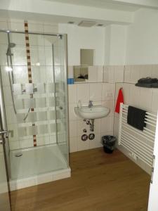 W łazience znajduje się prysznic i umywalka. w obiekcie Pension Weber w mieście Erfurt