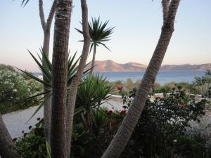 uitzicht op de oceaan tussen twee palmbomen bij Anemomylos Houses in Koufonisia