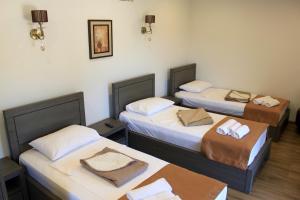 Postel nebo postele na pokoji v ubytování Hotel Kolkhi Shekvetili