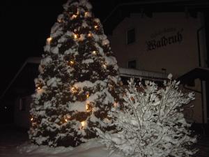 Zdjęcie z galerii obiektu Gästehaus Waldruh w Mayrhofen