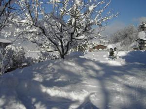 un árbol cubierto de nieve junto a una casa en Gästehaus Waldruh, en Mayrhofen