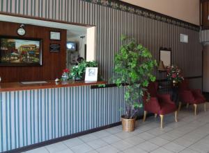The lobby or reception area at Super 8 by Wyndham Colorado Springs Airport