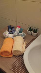 Galeriebild der Unterkunft Country House Baranjski Tulipan in Draž