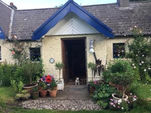 a house with a dog sitting at the front door at Corriebeg Cottage in Borris