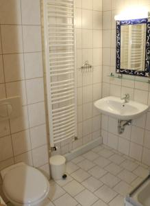 a bathroom with a toilet and a sink at Ferienhaus Vier Jahreszeiten in Frauenwald