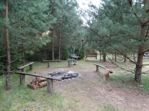 Zdjęcie z galerii obiektu Dworek Telimena w mieście Smolniki