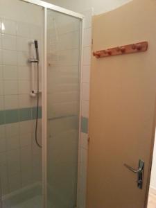 a shower with a glass door in a bathroom at Appartements Le Clos des Gentianes in Allevard