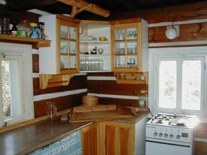 a kitchen with wooden walls and a stove and windows at Horská Chata U Básníka in Horní Malá Úpa