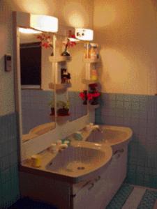 uma casa de banho com um grande lavatório e um espelho em Minshuku Toshi em Yakushima