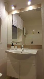 Koupelna v ubytování Ferienhaus Bergidylle + 37 fotografií