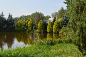 a net in the grass next to a lake at Chata Dziadka Ignacego in Augustów +67 photos