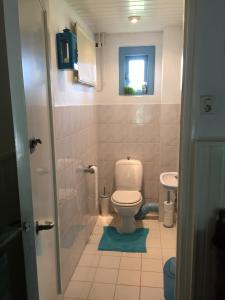 ein kleines Bad mit WC und Waschbecken in der Unterkunft Droomgaerd in Vlist