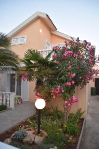 Gallery image of Apartment Vujic in Vir