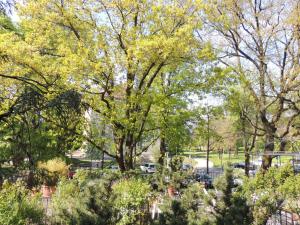 Um jardim no exterior de Solothurn