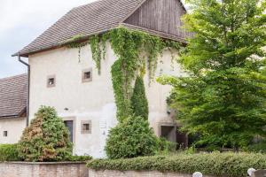 dom z bluszczem rosnącym po jego stronie w obiekcie Penzion St. Martin w mieście Spiskie Podgrodzie