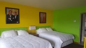 two beds in a room with green walls at Retro Inn at Mesa Verde in Cortez