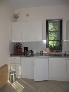 
Küche/Küchenzeile in der Unterkunft Altes Zollhaus am Klinikum

