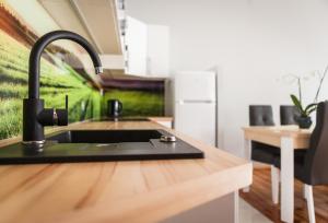 a kitchen with a sink and a counter top at Czar Garbar in Poznań +12 photos