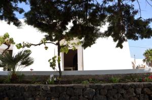 una casa blanca con un árbol y una pared en Dammusi SOLMAR en Pantelleria