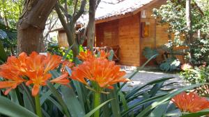 Residence Villaggio Verde في سورينتو: مجموعة من الزهور البرتقالية أمام كابينة
