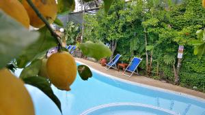 a swimming pool with two lawn chairs and oranges at Residence Villaggio Verde in Sorrento
