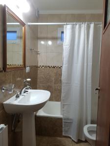 a bathroom with a sink and a toilet and a shower at Check in Angeles Bahía in Bahía Blanca