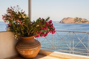 Imagen de la galería de Little Bird Lesvos, en Petra