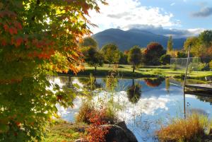 a pond in a park with mountains in the background at Dreamers Mt Beauty in Mount Beauty +117 photos