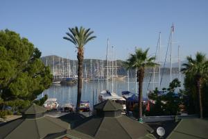 Un puerto deportivo con barcos en el agua y palmeras. en Kordon Apartment, en Fethiye