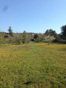 Priroda u blizini of the country house