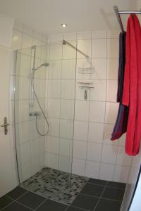 bagno con doccia e porta in vetro di Schwalbennest Ferienvermietung Arendholz a Hüde