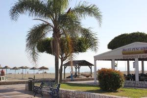 マラガにあるMare Nostrum Beach Vistas al Mar Terraza Fibra Optica, , Aparcamientoの浜辺の椰子とベンチ