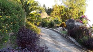 a dirt road with plants and trees on the side at Jardin Marron in Baie Sainte Anne