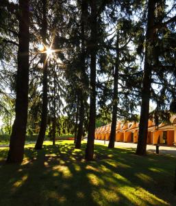 Zahrada ubytování Hotel Pineta