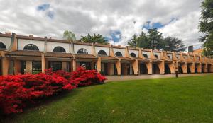 Zahrada ubytování Hotel Pineta