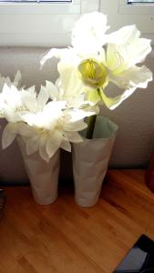 Foto da galeria de Apartments House of Art em Nin