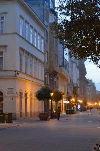 ブダペストにあるVáci Street Downtown Apartmentsのギャラリーの写真