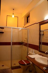 a bathroom with a shower and a toilet and a sink at Hotel Vimal Heritage in Jaipur