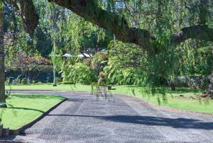 Um jardim em Quinta da Casa Branca - Small Luxury Hotels of the World