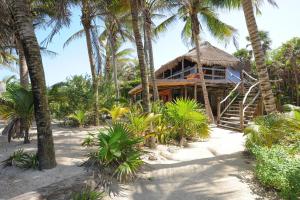 Afbeelding uit fotogalerij van Zamas Hotel in Tulum