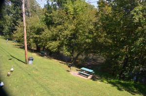 a park with a bench and ducks in the grass at River Lodge South in Pigeon Forge
