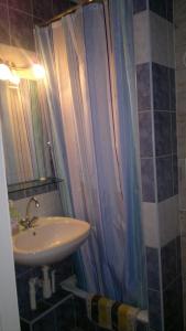 a bathroom with a sink and a shower curtain at Top Apartment Budapest in Budapest