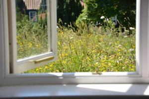 an open window with a view of a field of flowers at The Dolphin Inn in Thorpeness