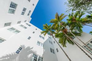 マイアミビーチにあるHotel Bellezaのヤシの木が植えられた白い建物の景色