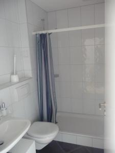 W łazience znajduje się prysznic, toaleta i umywalka. w obiekcie Apartment Bergblick w mieście Arosa