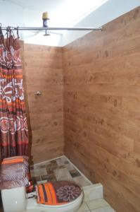 een badkamer met een toilet en een douche bij Hotel Xetawaa´l in San Pedro La Laguna