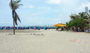 a sandy beach with a palm tree and umbrellas at Hotel Pueblito Playa in Cartagena de Indias